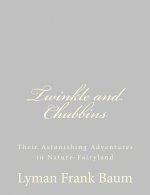 Twinkle and Chubbins: Their Astonishing Adventures in Nature-Fairyland
