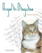 Angel in Disguise