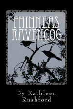 Phinneas Ravencog: Phinneas Ravencog: A story of imagination and possibility