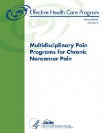 Multidisciplinary Pain Programs for Chronic Noncancer Pain: Technical Brief Number 8