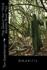 The Quest For Third Heaven Book Two: Amabilis