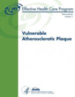 Vulnerable Atherosclerotic Plaque: Technical Brief Number 3