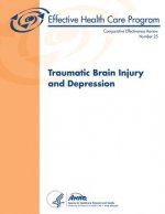 Traumatic Brain Injury and Depression: Comparative Effectiveness Review Number 25