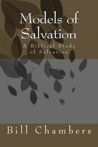 Models of Salvation