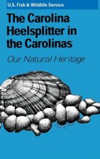 The Carolina Heelsplitter in the Carolinas