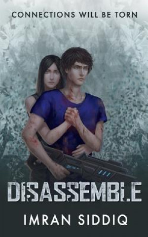 Disassemble: Divided Worlds Trilogy: Book Two