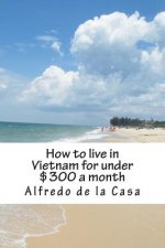 How to live in Vietnam for under $300 a month: working 10 hours a month