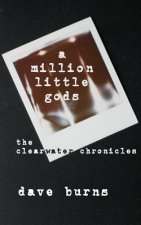 A million little gods: the clearwater chronicles