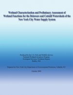 Wetland Characterization and Preliminary Assessment of Wetland Functions for the Delaware and Catskill Watersheds of the New York City Water Supply Sy