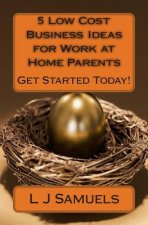 5 Low Cost Business Ideas for Work at Home Parents