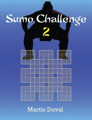 Sumo Challenge 2