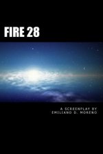 Fire 28