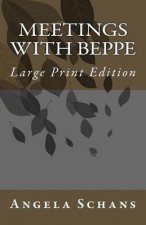 Meetings With Beppe: Large Print Edition