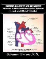 Diseases, Diagnoses and Treatment