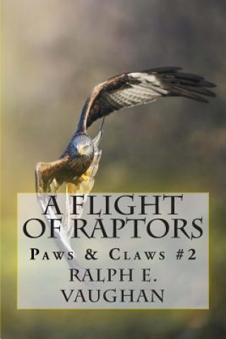 Flight of Raptors