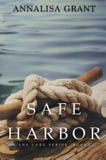 Safe Harbor: (The Lake Series, Book 3)