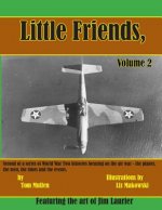 Little Friends Volume II: Second of a series of World War Two histories focusing on the air war - the planes, the men, the times and the events.