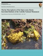 Marine Macrophytes of the Open-coast, Rocky Intertidal Habitats of the Cobrillo