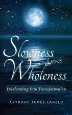 Slowness Gives Wholeness: Decelerating Into Transformation