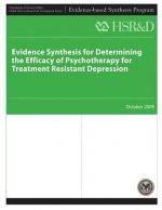 Evidence Synthesis for Determining The Efficacy of Psychotherapy for Treatment Resistant Depression