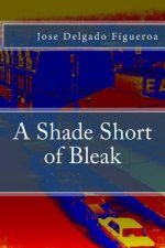 A Shade Short of Bleak