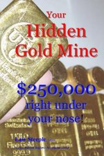 Your Hidden Gold Mine: $250,000 right under your nose!