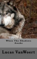 When The Shadows Awake
