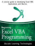 Beginning Excel VBA Programming: A concise guide to developing Excel VBA Applications and Macros