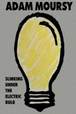 Slinking Under the Electric Bulb