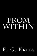 From Within: a NaNoWriMo 2012 novel
