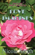 Love Imagines: Book Six of the Sully Point Series