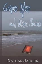 Graues Meer und blaue Sonnen
