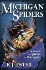 Michigan Spiders