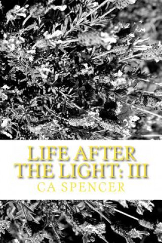 Life After The Light: III