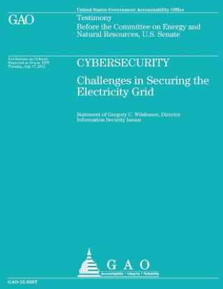 Cyberstudy: Challenges in Securing the Electricity Grid