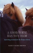 Good Horse Has No Color