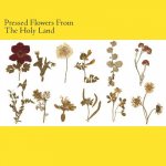 Pressed Flowers From The Holy Land