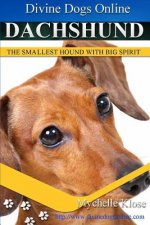 Dachshunds: Divine Dogs Online