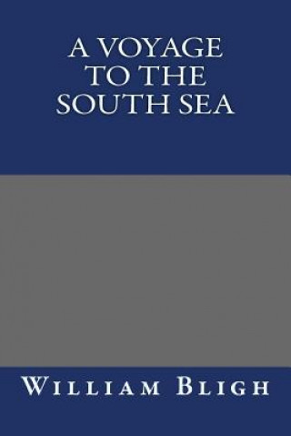 A Voyage to the South Sea