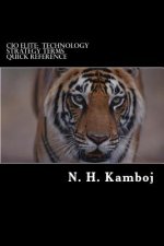 CIO Elite: Technology Strategy Terms Quick Reference