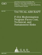 Tactical Aircraft F22A: F-22A Modernization Program Faces Cost, Technical, and Sustainment Risks