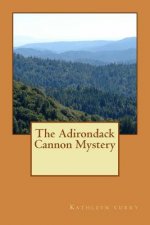 The Adirondack Cannon Mystery