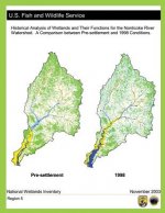 Historical Analysis of Wetlands and Their Functions For the Nanticoke River Watershed: A Comparison between Pre-settlement and 1998 Conditions
