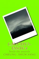 Cauchy3-Essay-4: Settle the unsettle