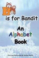 B Is for Bandit: A Fun Alphabet Book for All Ages