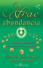 Atrae abundancia: Tecnicas espirituales para aumentar tu prosperidad