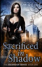Sacrificed in Shadow: An Urban Fantasy Mystery