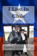 I Live In Chile: Viva Chile