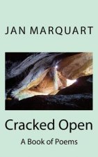 Cracked Open: A Book of Poems