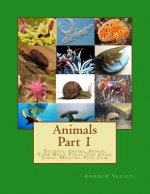 Animals Part 1: Bacteria, Amoeba, Sponge, Slime Mold, Fungi, Tube worm, Coral, Mollusc, Fish, Crab